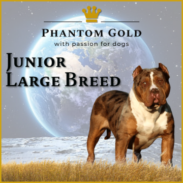 Junior large breed