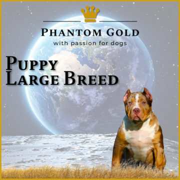 Puppy Large Breed