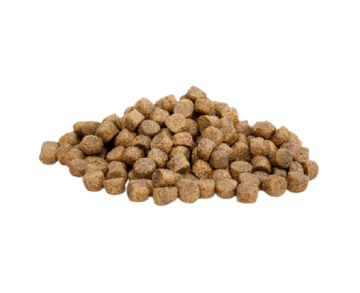 Adult Sensitive - Salmon & Potatoes