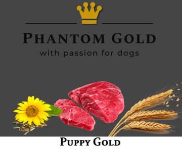 Puppy Gold | Phantom Gold