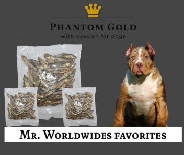 Schermafbeelding 2022 11 23 om 115022