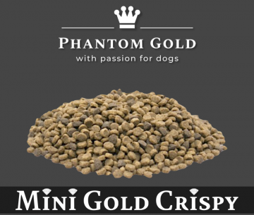 Mini Gold Crispy