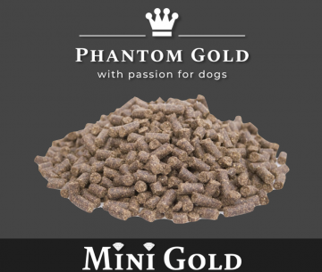 Mini Gold