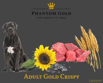 Adult Gold Crispy