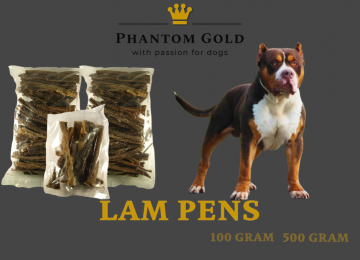 lam pens