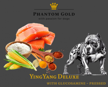 YingYang Deluxe – Terug van weggeweest, beter dan ooit