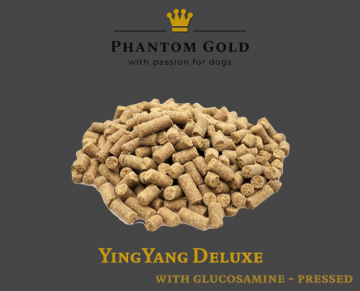 YingYang Deluxe – Terug van weggeweest, beter dan ooit