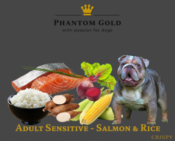 Adult Sensitive - Salmon & Rice